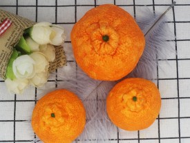 Molde silicona mandarina entera 